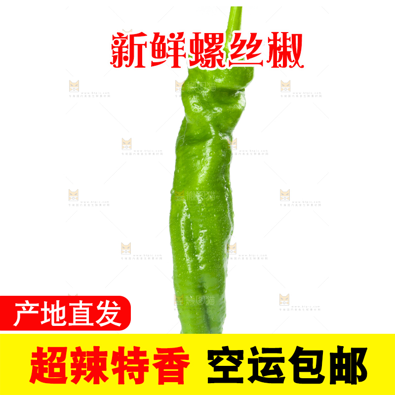 白底上摆放着青螺丝椒