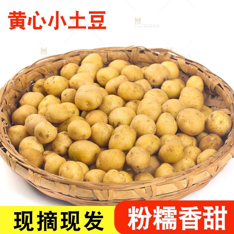 白底上放着一篮高山小土豆