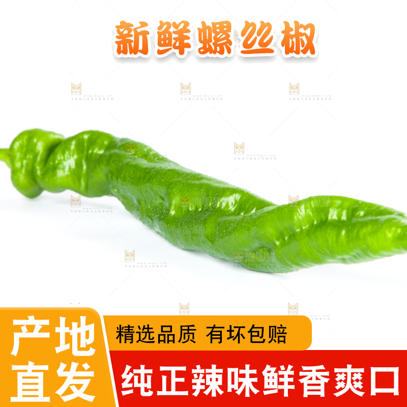 白底上摆放着青螺丝椒