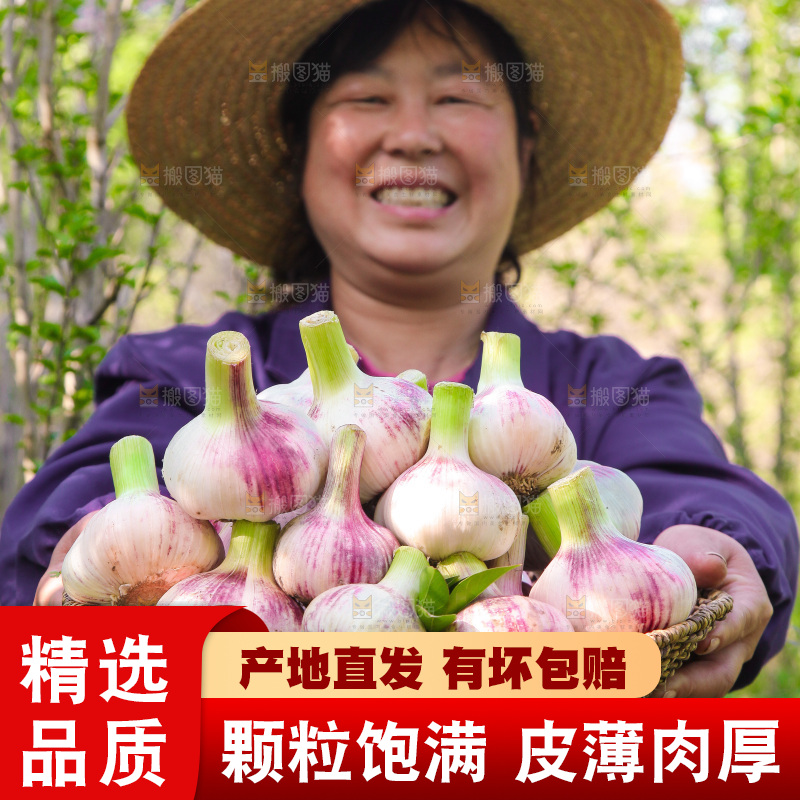 手里端着一篮新鲜大蒜