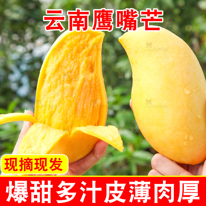 手里拿着象牙芒