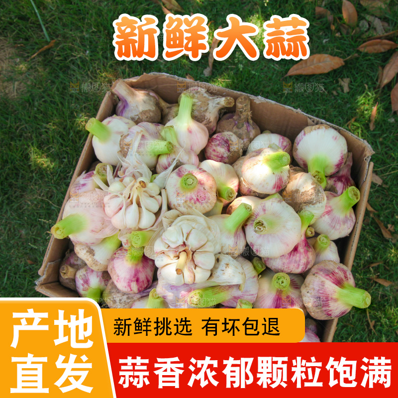 一箱新鲜大蒜