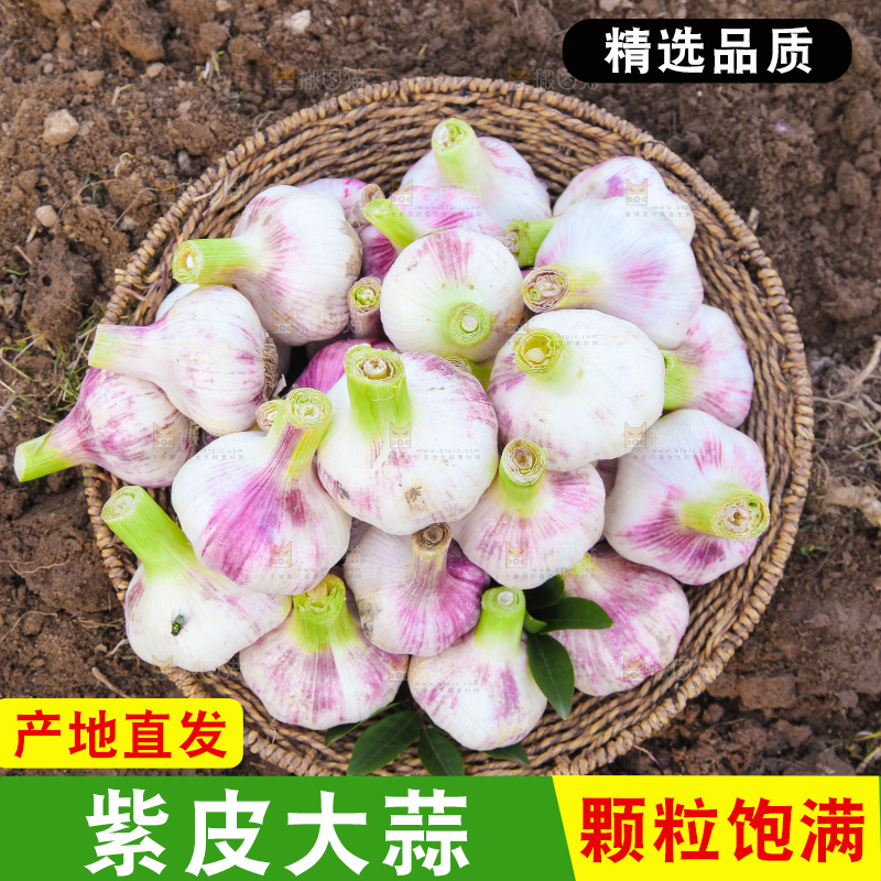 一篮紫皮大蒜