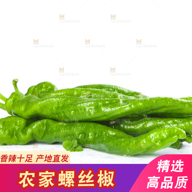 白底上摆放着青螺丝椒
