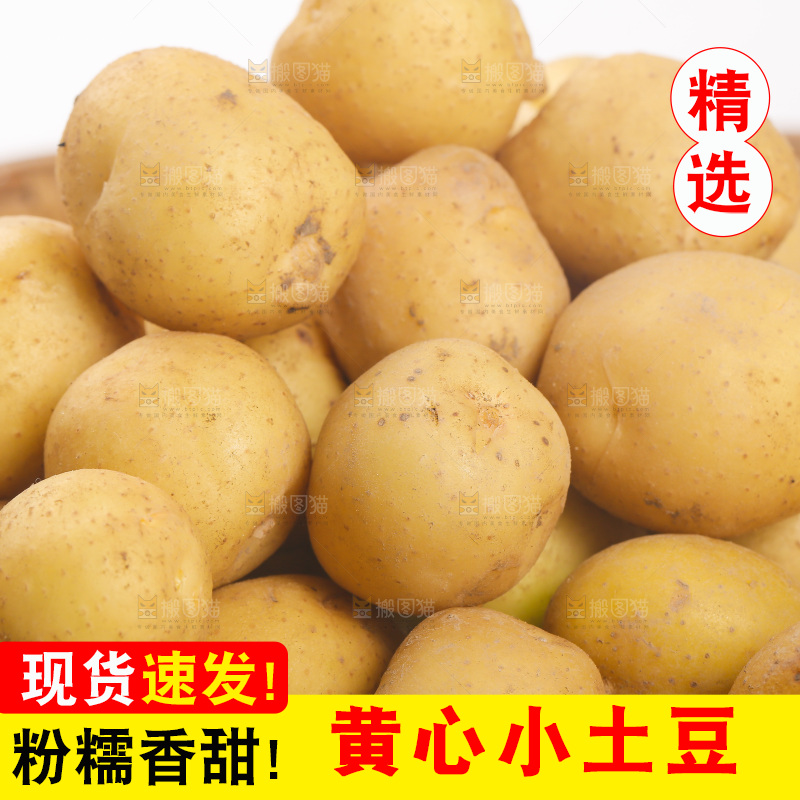 一堆恩施小土豆