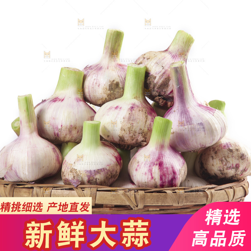一篮紫皮大蒜