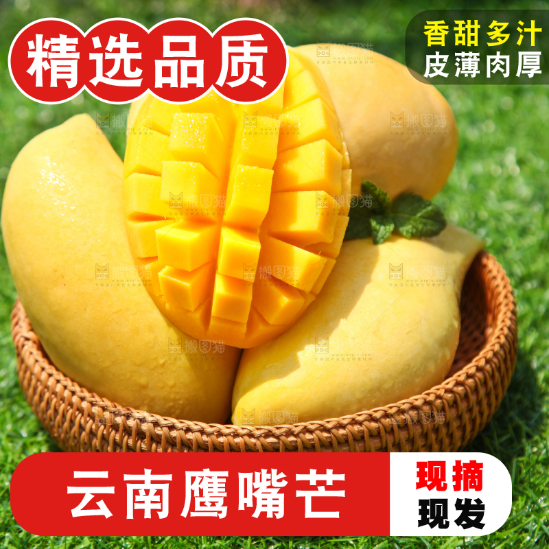 绿草地上放着一篮云南鹰嘴芒