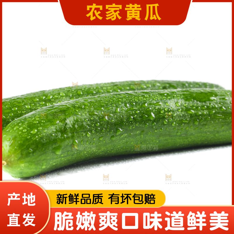 白底上的荷兰黄瓜