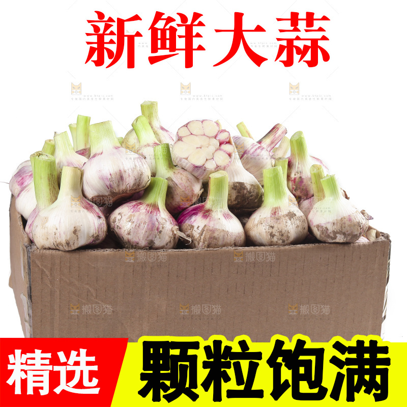 一箱新鲜大蒜