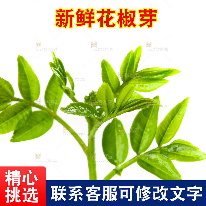 白底上放着花椒芽