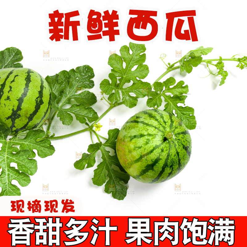 白底上放着新鲜的西瓜