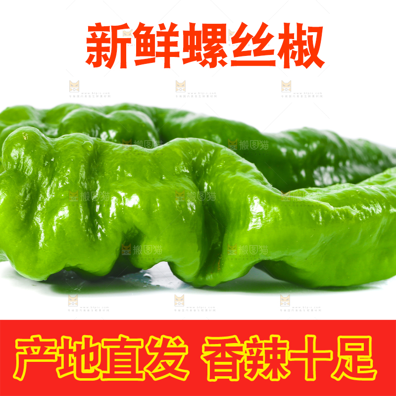 白底上的新鲜螺丝椒