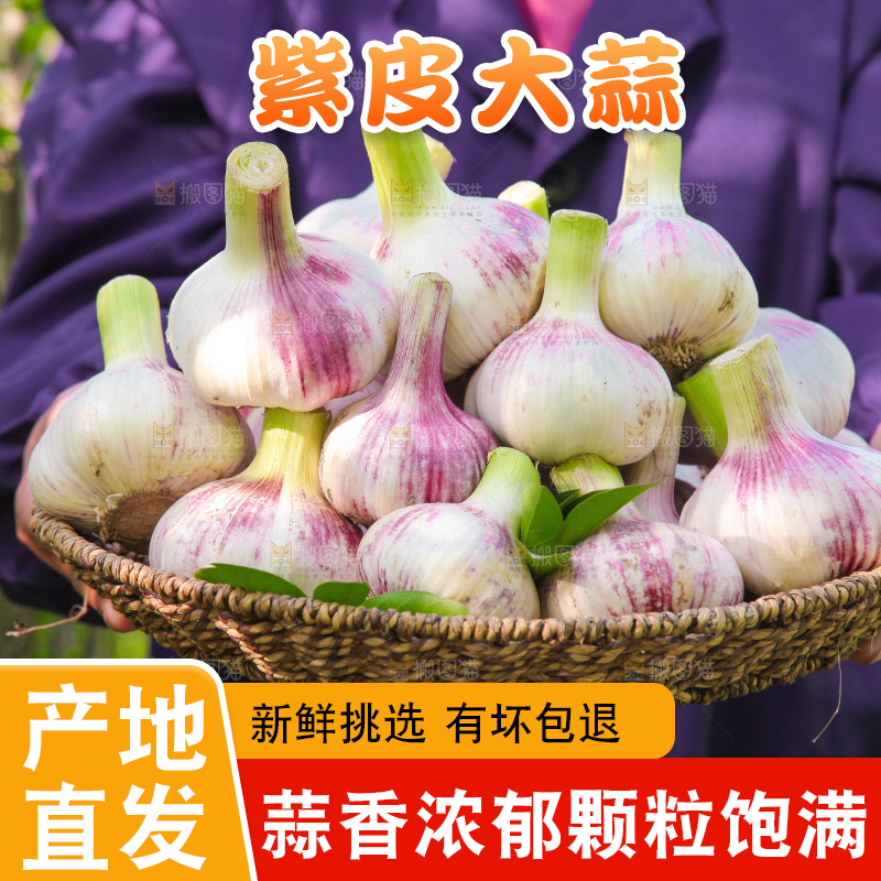 手里端着一篮新鲜大蒜