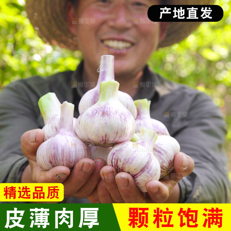 手里捧着鲜蒜