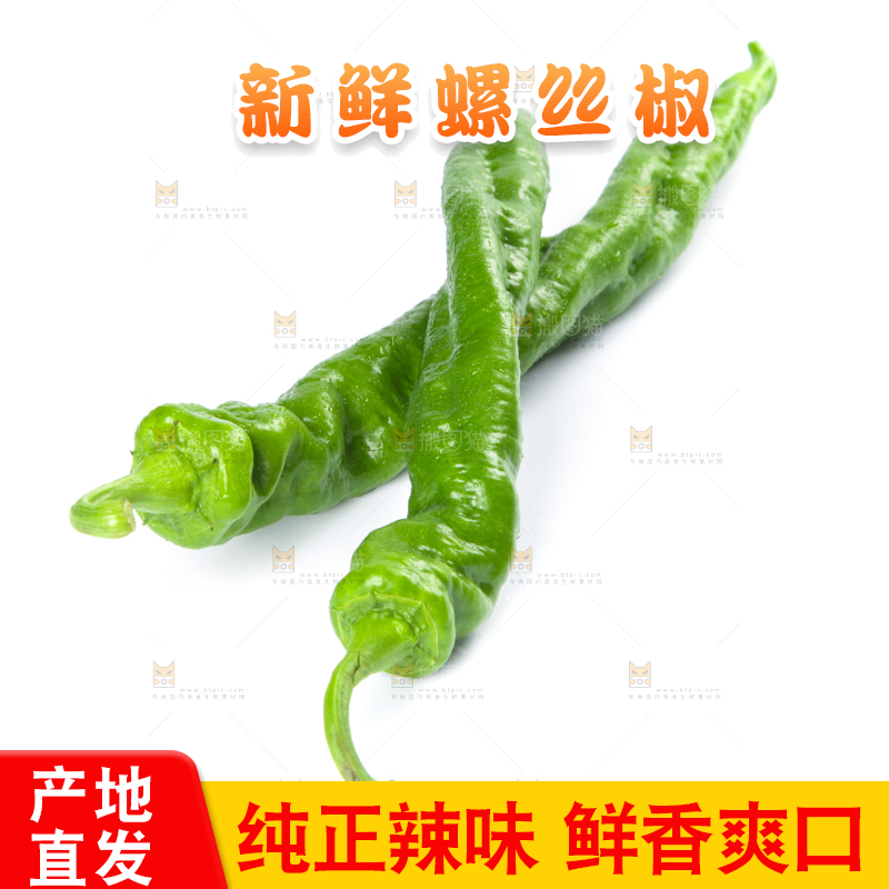 白底上摆放着青螺丝椒
