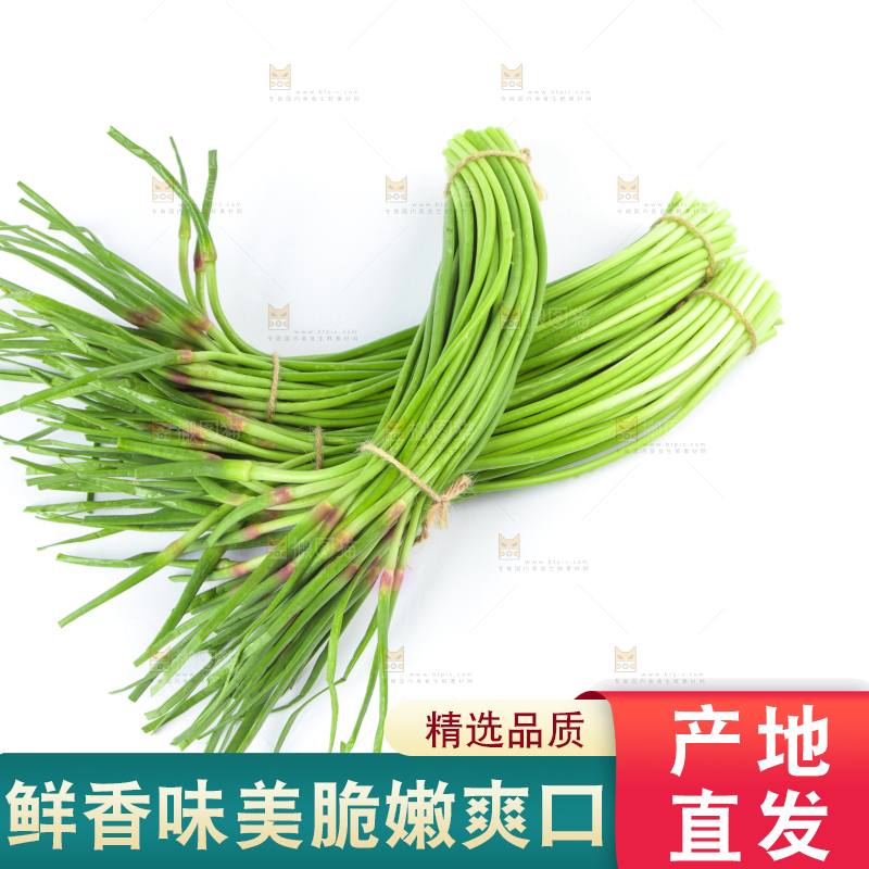 白底上的鲜嫩蒜苔