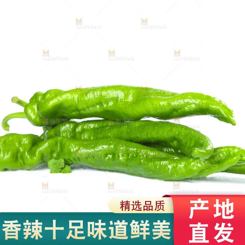 白底上摆放着青螺丝椒