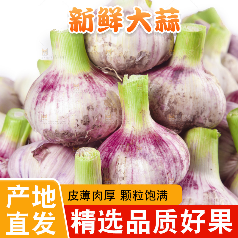 一箱新鲜大蒜