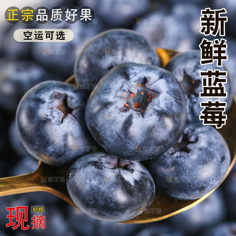 勺子上舀着云南蓝莓