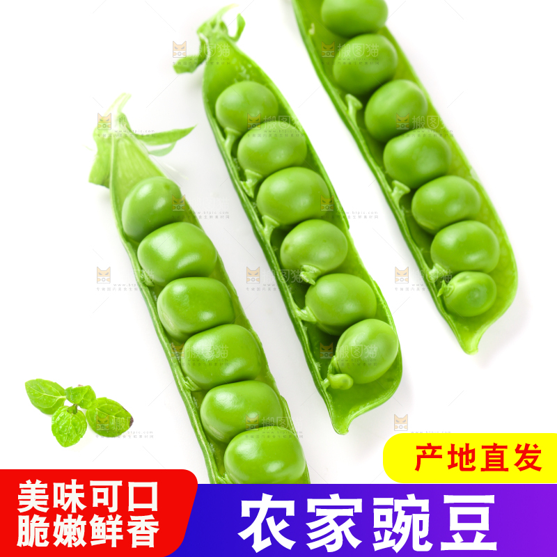 剥开的新鲜豌豆放在白底上