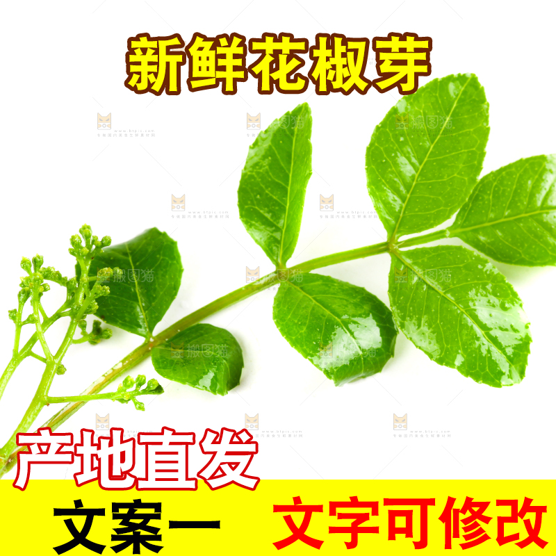 白底上的花椒芽