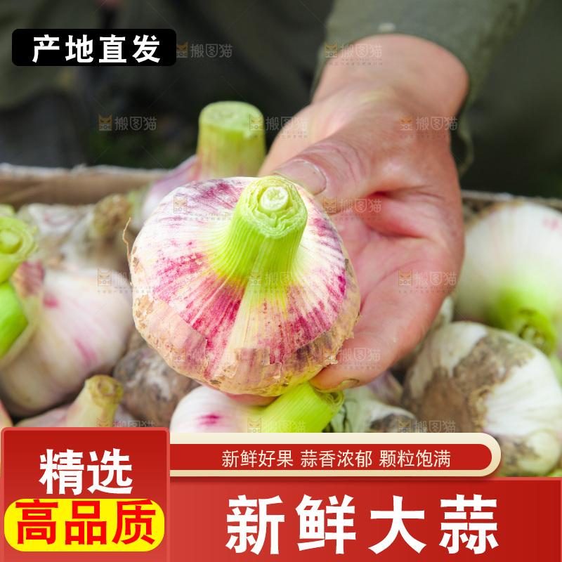手里拿着大蒜