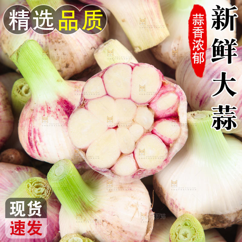 新鲜大蒜纹理