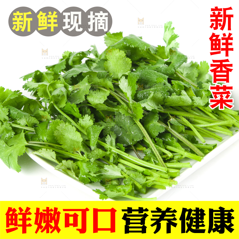 白底上放着一盘香菜