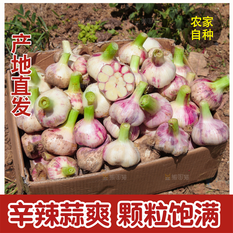 一箱新鲜大蒜
