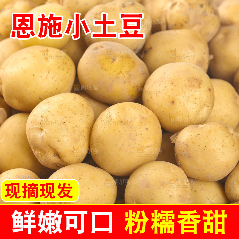 一篮小土豆