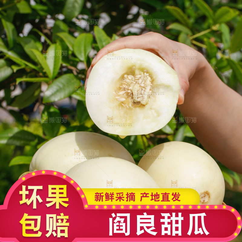 一篮陕西阎良甜瓜