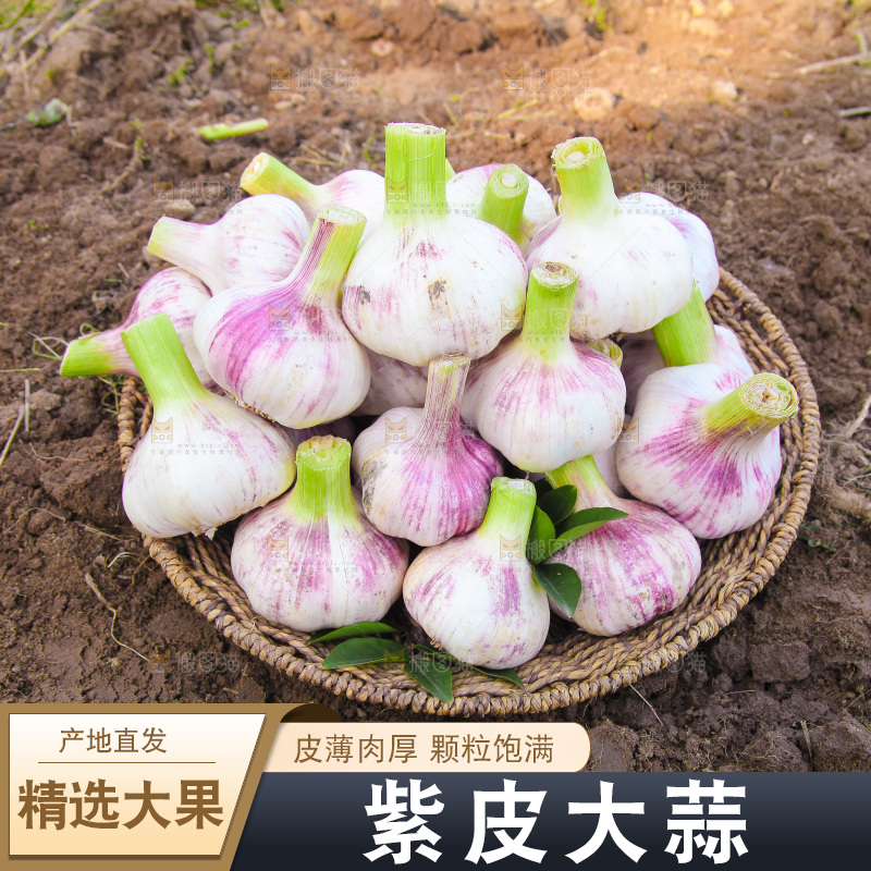 一篮紫皮大蒜