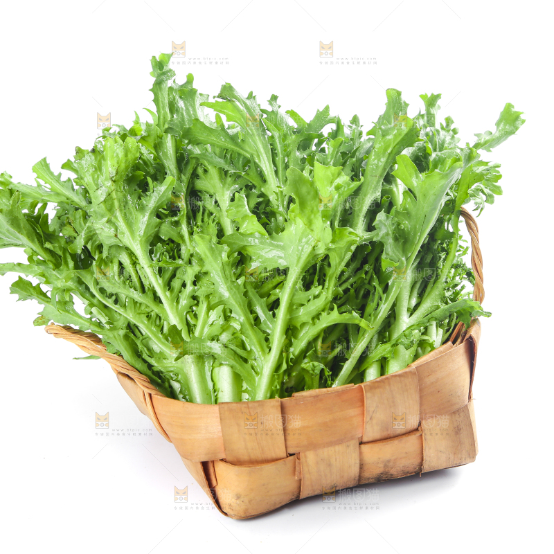篮子里装着苦菊