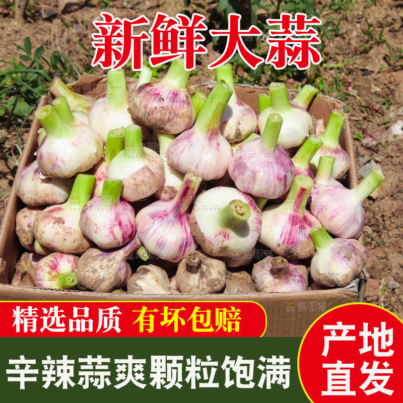 一箱新鲜大蒜