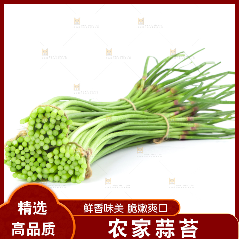 白底上的河南蒜苔