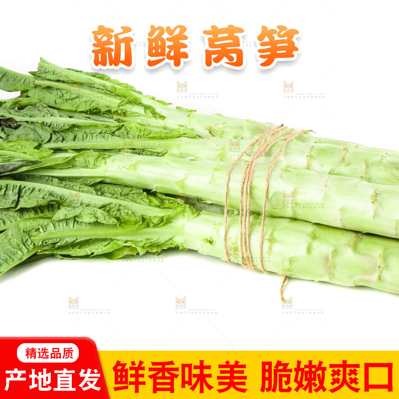 白底上摆放着莴笋