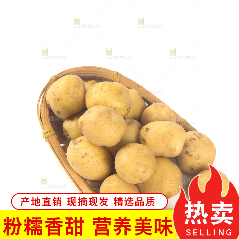 一篮小土豆