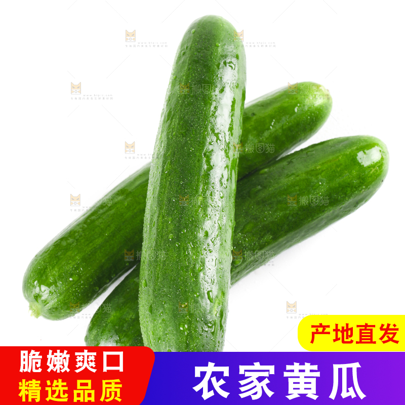 白底上放着新鲜水果黄瓜