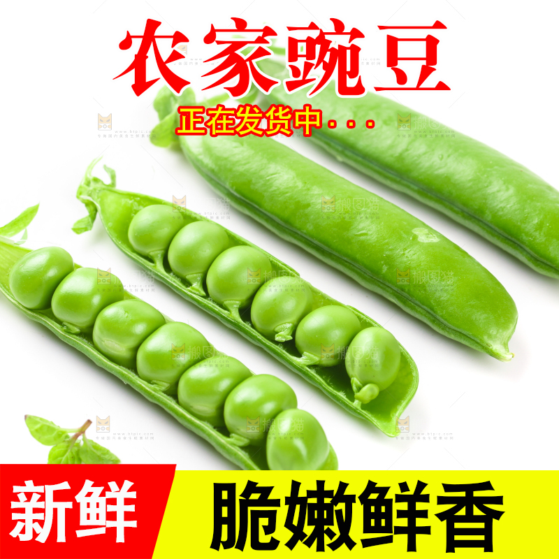 剥开的新鲜豌豆放在白底上