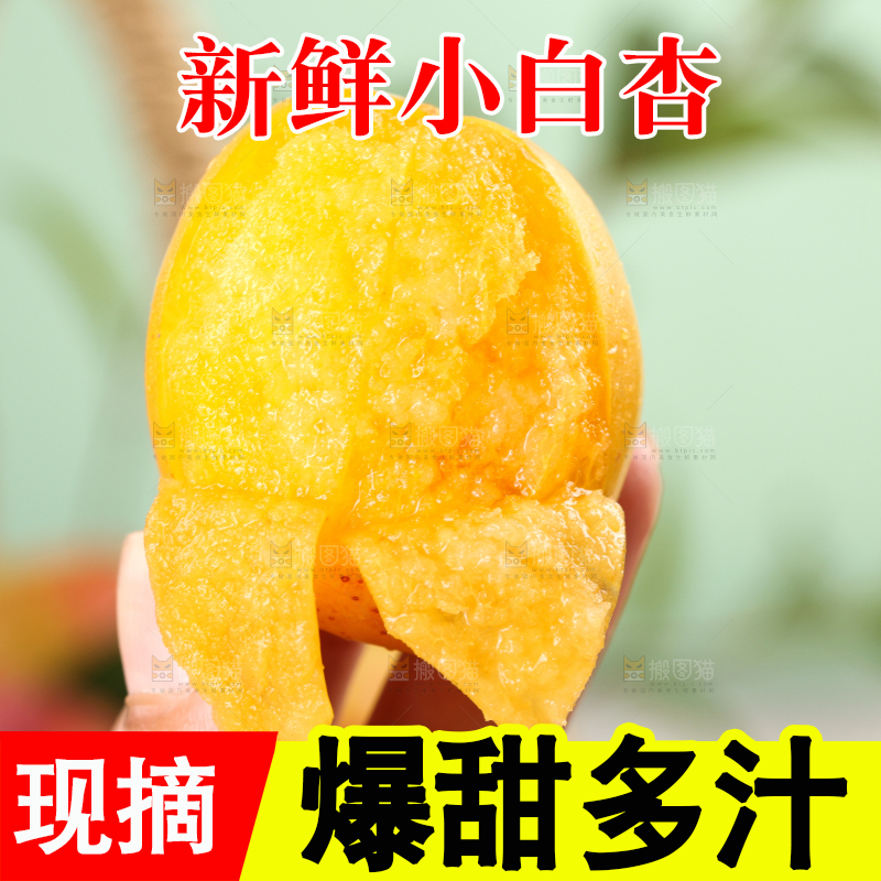 手里拿着白杏