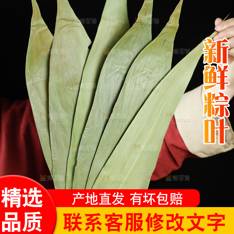手里拿着粽子叶