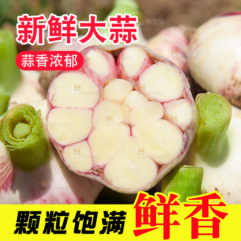 新鲜大蒜纹理