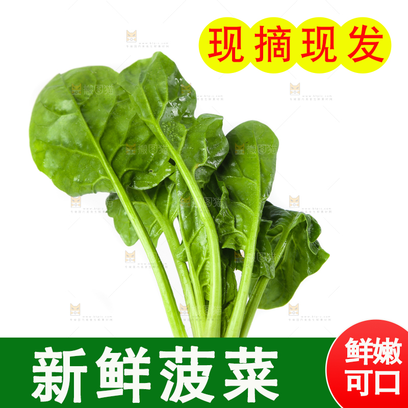 白底上放着菠菜
