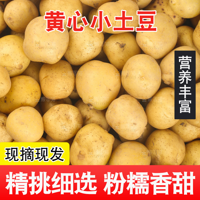 一堆恩施小土豆
