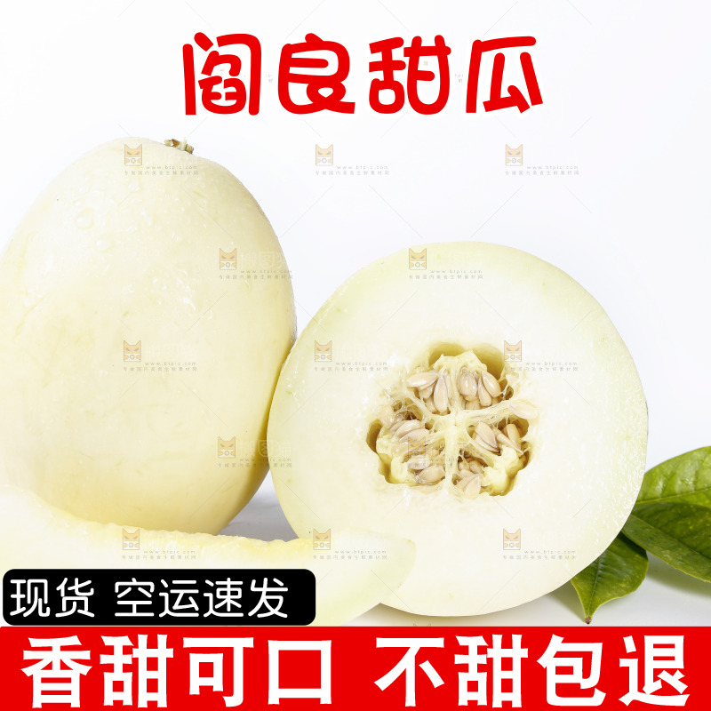 白底上放着阎良甜瓜