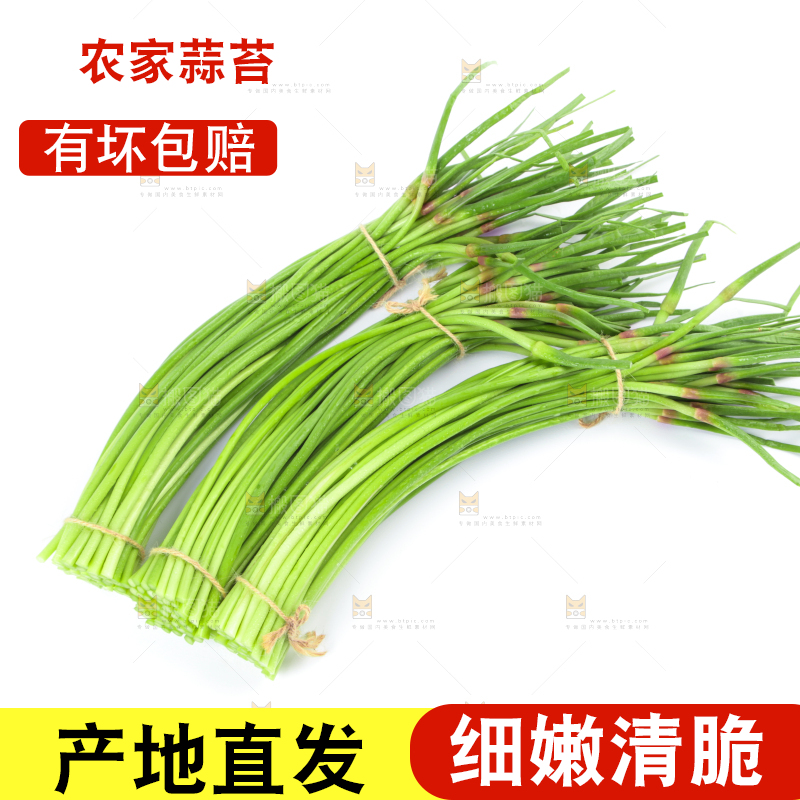 白底上的河南蒜苔