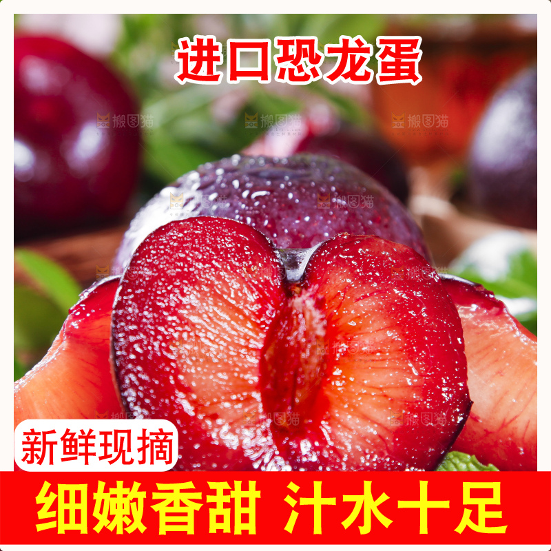 深底上摆放着恐龙蛋李
