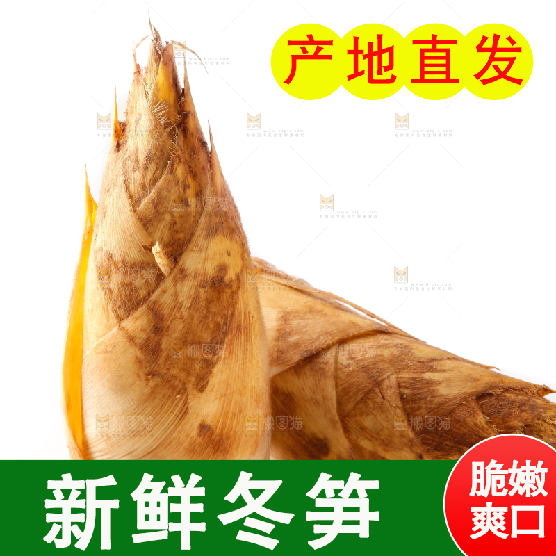 白底上摆放着冬笋