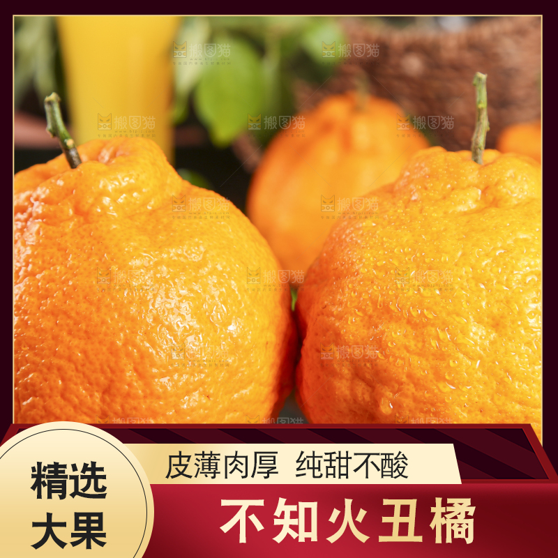 手里拿着不知火柑橘