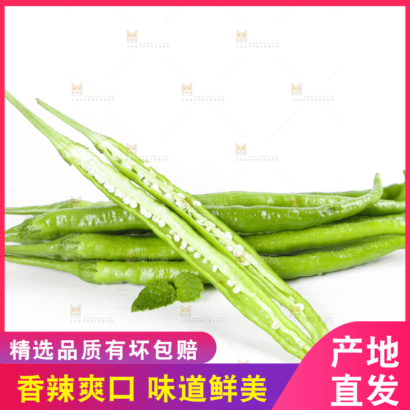 白底上的青线椒